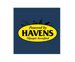 Sponsor 1 Logo