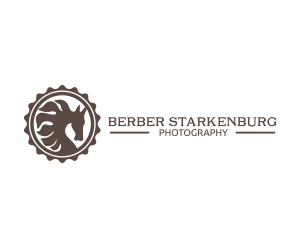 Sponsor 4 Logo